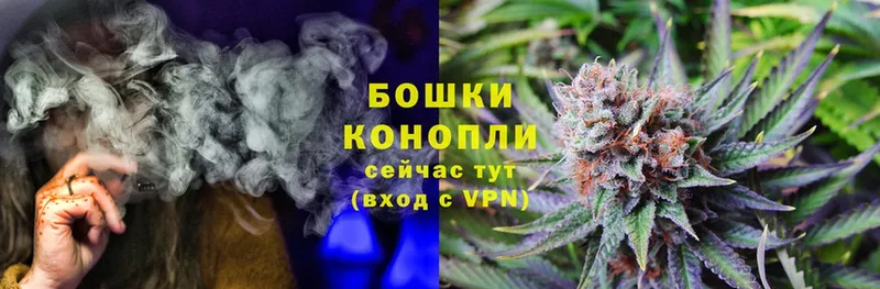 где найти   Кириши  Шишки марихуана Ganja 